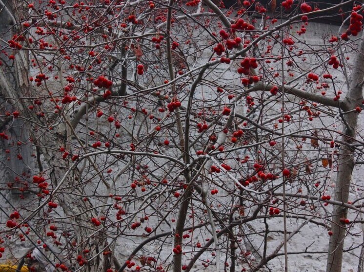 29 октября 2025 года: какой сегодня праздник в России и мире