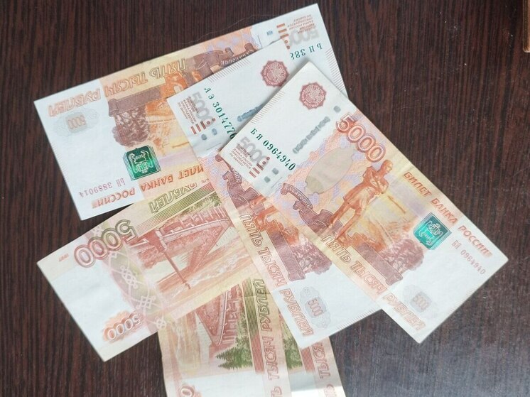 Новгородский «лесоруб» попал под статью за налоговый долг в размере 62 млн рублей