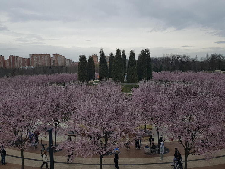 В Краснодаре пройдет Конференция «Актуальные вызовы в области права интеллектуальной собственности»