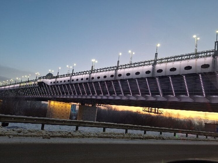 В Омске ищут подрядчика для обслуживания подсветки метромоста