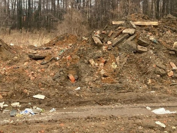 Минэкологии Подмосковья требует взыскать 12 млн рублей за незаконные свалки в Химках