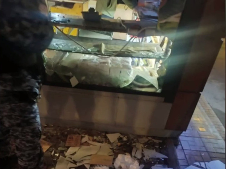 Пьяный поклонник сериала устроил погром в шаурмичной Подмосковья