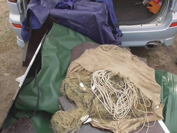 В Омской области пойдут под суд браконьеры, наловившие рыбы на 4,1 млн рублей