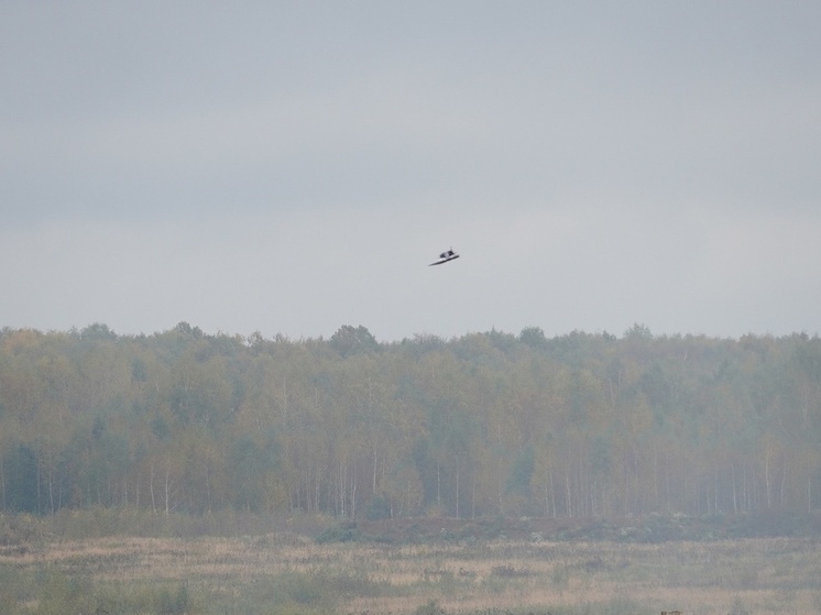 В Тульской области объявлена опасность атаки беспилотников