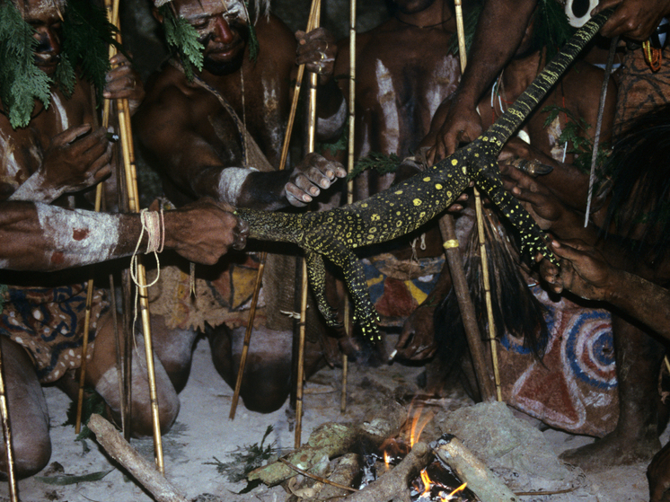 Блогеры и туристы угрожают существованию изолированных племен