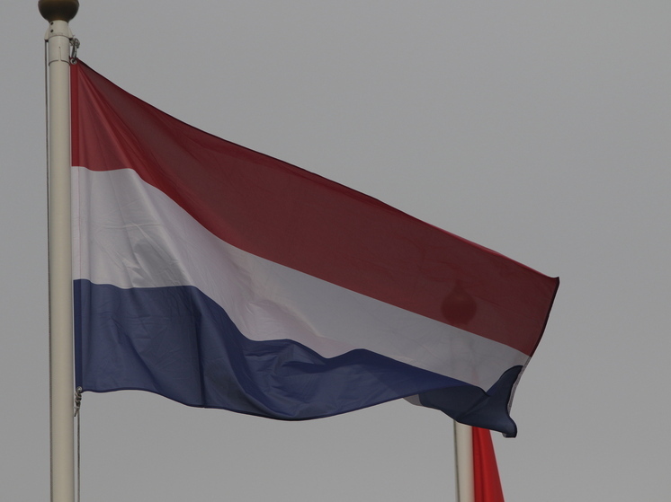 Названы основные кандидаты в борьбе за нижнюю палату парламента Нидерландов