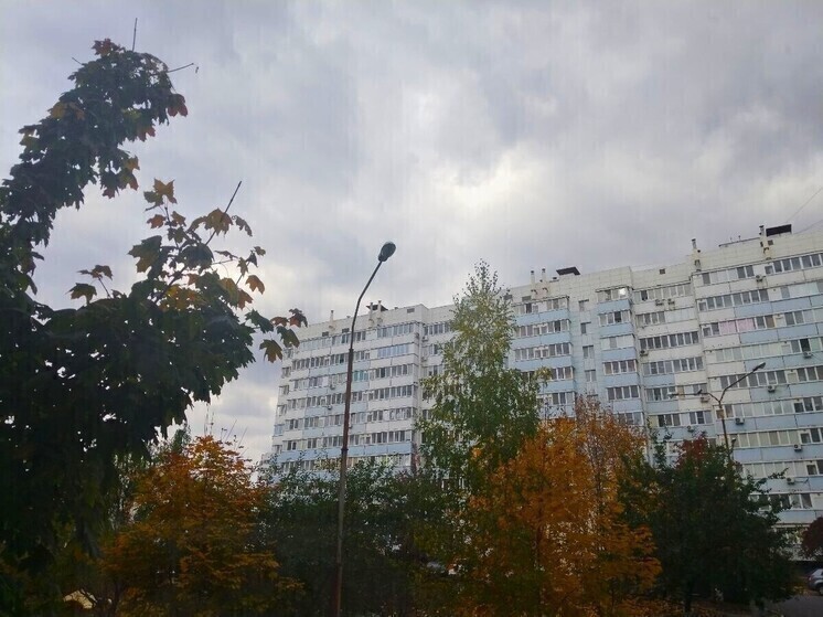 Белгородцев ожидают небольшие дожди и 11 градусов тепла в среду