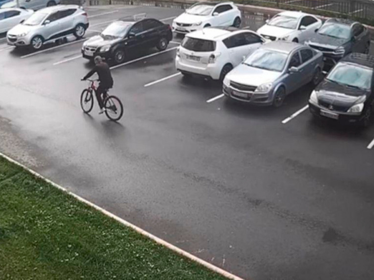 Пьяный брянец не смог доехать на украденном велике до дома: упал в кусты