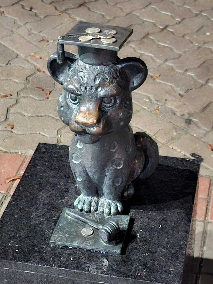 Кому и зачем псковичи "дают на лапу"