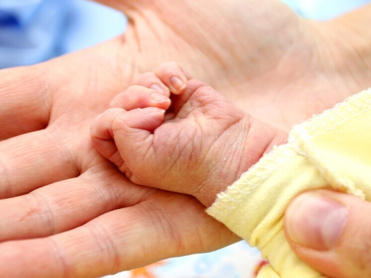 Выплаты на первенца в этом году получили почти тысяча вологодских мам