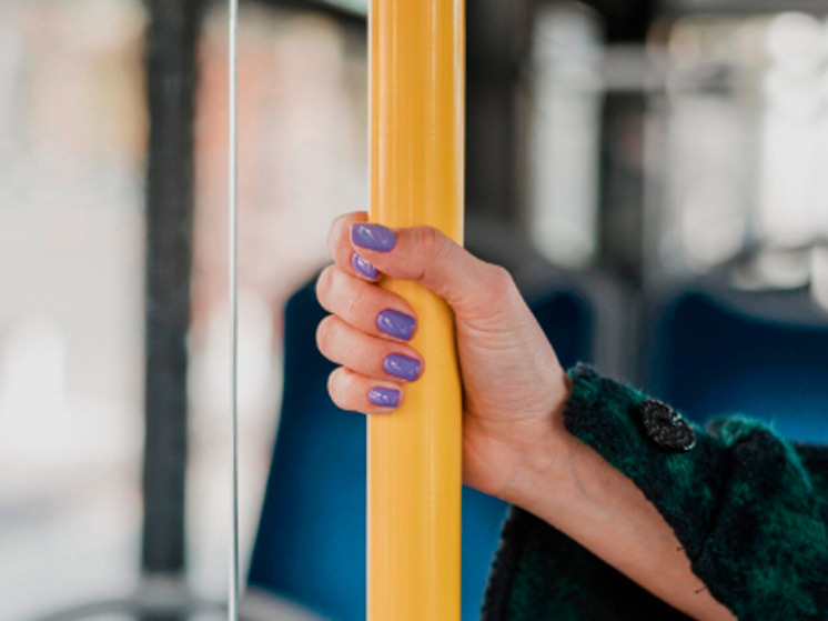 Жительница Брянской области за избиение водителя троллейбуса отправится в колонию