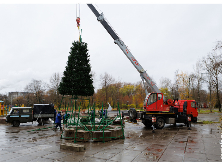 Новогодние елки начали устанавливать в Череповце