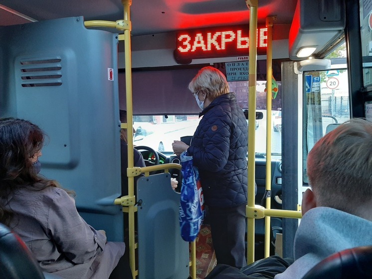 В Саратове стоимость проезда в маршрутках вырастет до 48 рублей