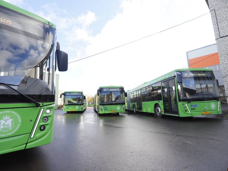 Изменения в расписании общественного транспорта Псковской области на ноябрьские праздники
