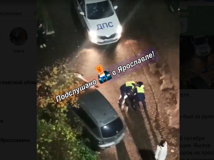В Ярославле полицейские задержали водителя за таран клумбы
