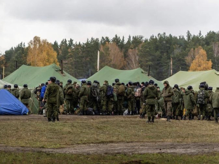 Новосибирцев будут призывать в армию круглый год с 2026 года