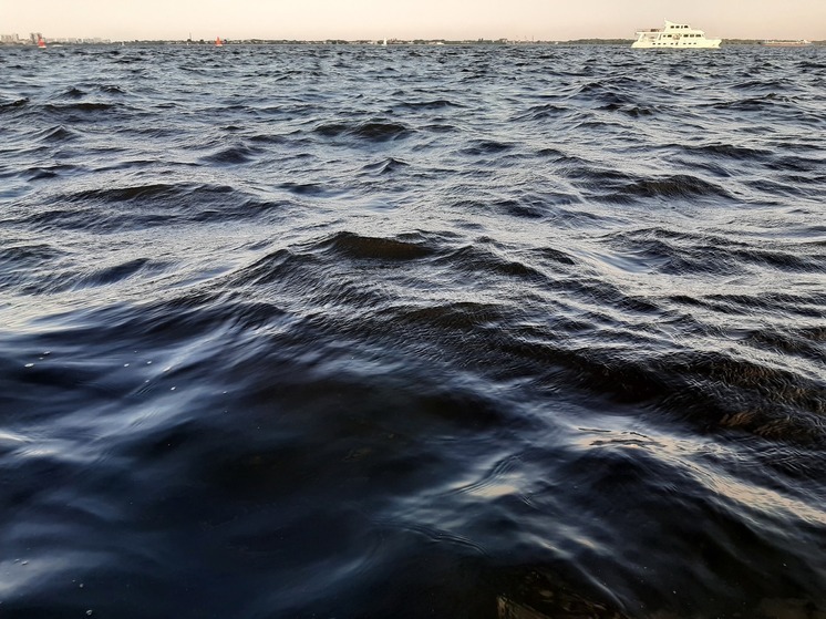 Саратовец поймал огромного судака с глазами-телескопами