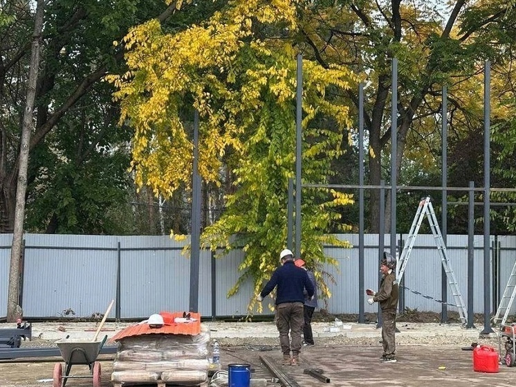 В парке имени 30-летия Победы в Краснодаре построят зону для пляжных видов спорта