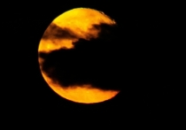  Растущая Луна в знаке Козерога создает мощный энергетический фон для целеустремленности, дисциплины и практичности. Это день, когда космос поддерживает любые действия, направленные на долгосрочный результат, карьерный рост и укрепление своего статуса. Однако Козерог требует серьезности и ответственности — легкомыслие и безделье могут обернуться мелкими, но досадными неприятностями.

