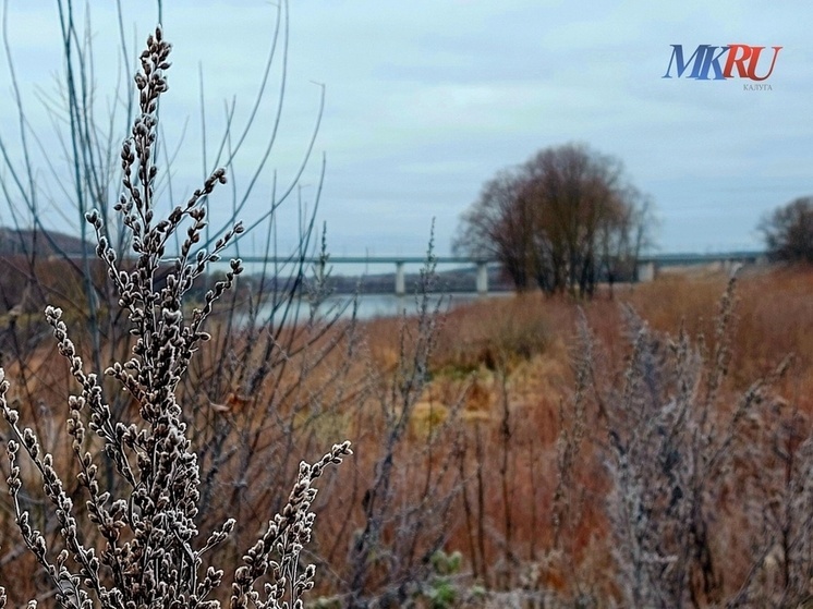 Калугу не покидают дожди