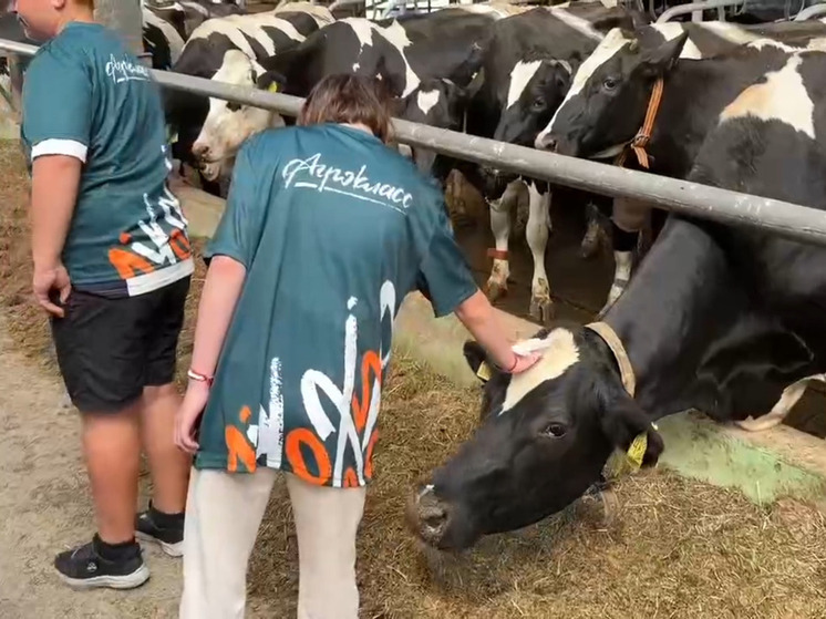 Агроклассники собрались в Приозерском районе на свой первый областной слет