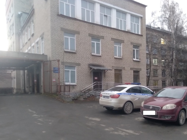 Ревдинца, насмерть сбившего двух девочек, поместили в ИВС