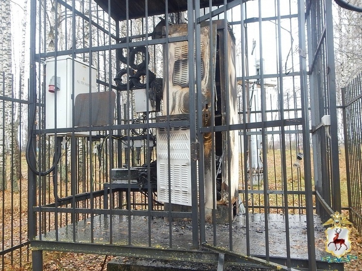 В Нижегородской области произошел теракт