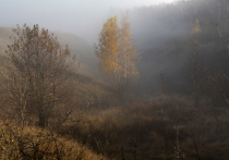 Осенний день 29 октября в народном календаре носит имя Лонгина Сотника, или Лонгина Вратника. Это время, когда граница между миром живых и потусторонним истончается, а солнечный свет, даже осенний и хрупкий, наделяется особой силой. В 2024 году этот день приходится на вторник — идеальное время, чтобы навести порядок в доме и в мыслях.