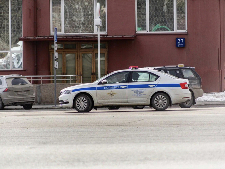 В Новосибирске разыскивают водителя, сбившего женщину и ребенка