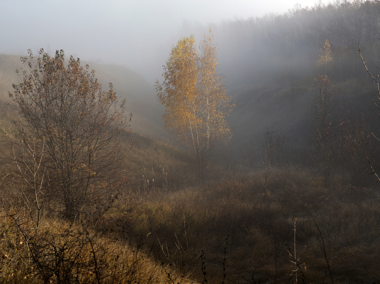 Что можно, а что нельзя делать 29 октября в День Лонгина Сотника