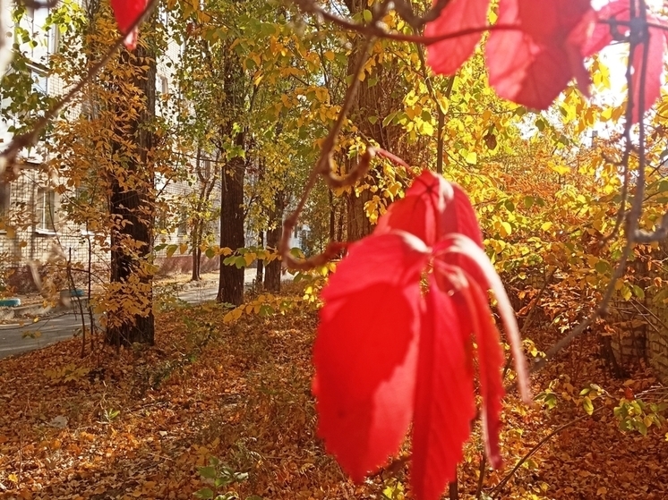 Сила магнитной бури 29 октября составит 5 баллов: идеальное время для путешествий