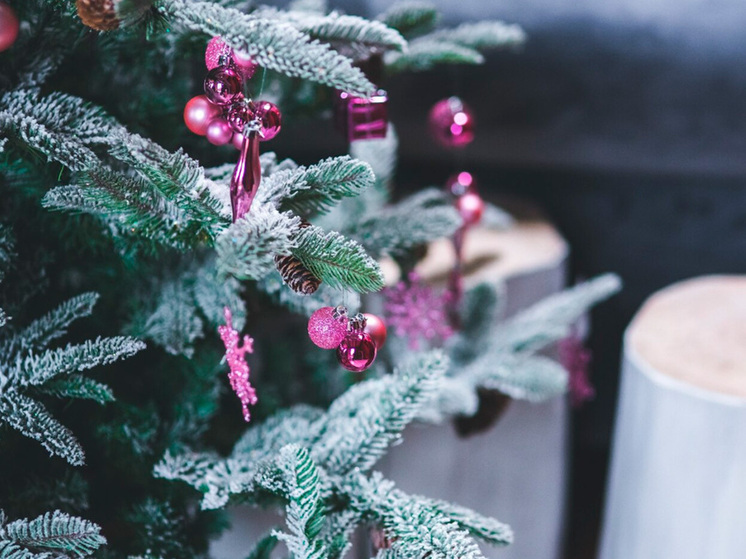 Липчан приглашают присоединиться к акции «Экоёлка»