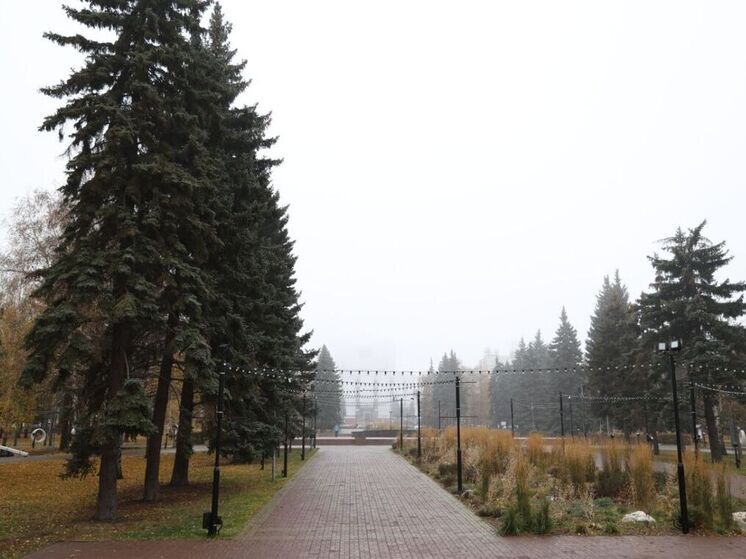 Теплая, но дождливая среда будет в Челябинской области