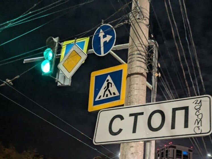 В Воронеже на «Электронике» женщина угодила под колеса авто