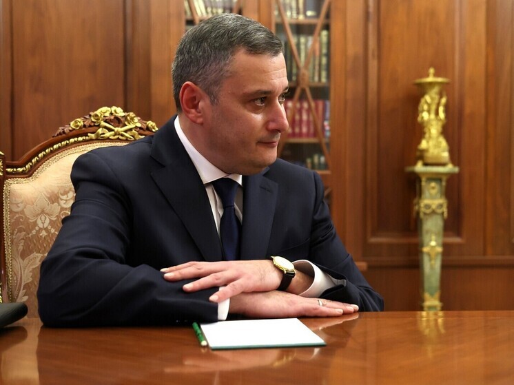 Хинштейн ответил на слова Балицкого о защите жителями Курской области региона