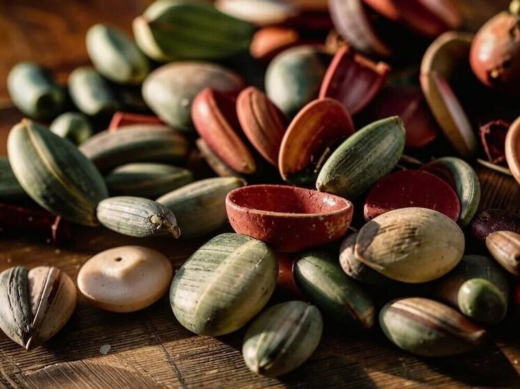 Странные семена продавали в Воронежской области