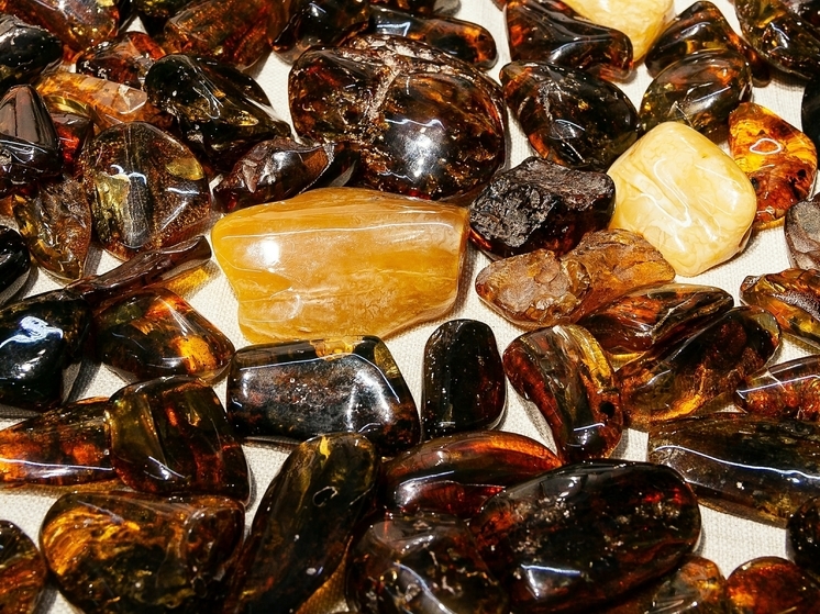 В куске янтаря нашли древнейшую личинку комара