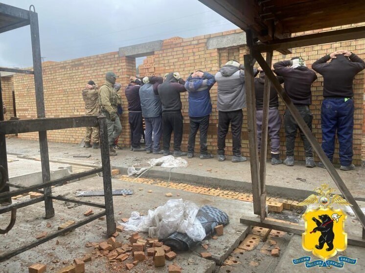 В Ярославле полиция рассказала про второй этап операции «Нелегал-2025»