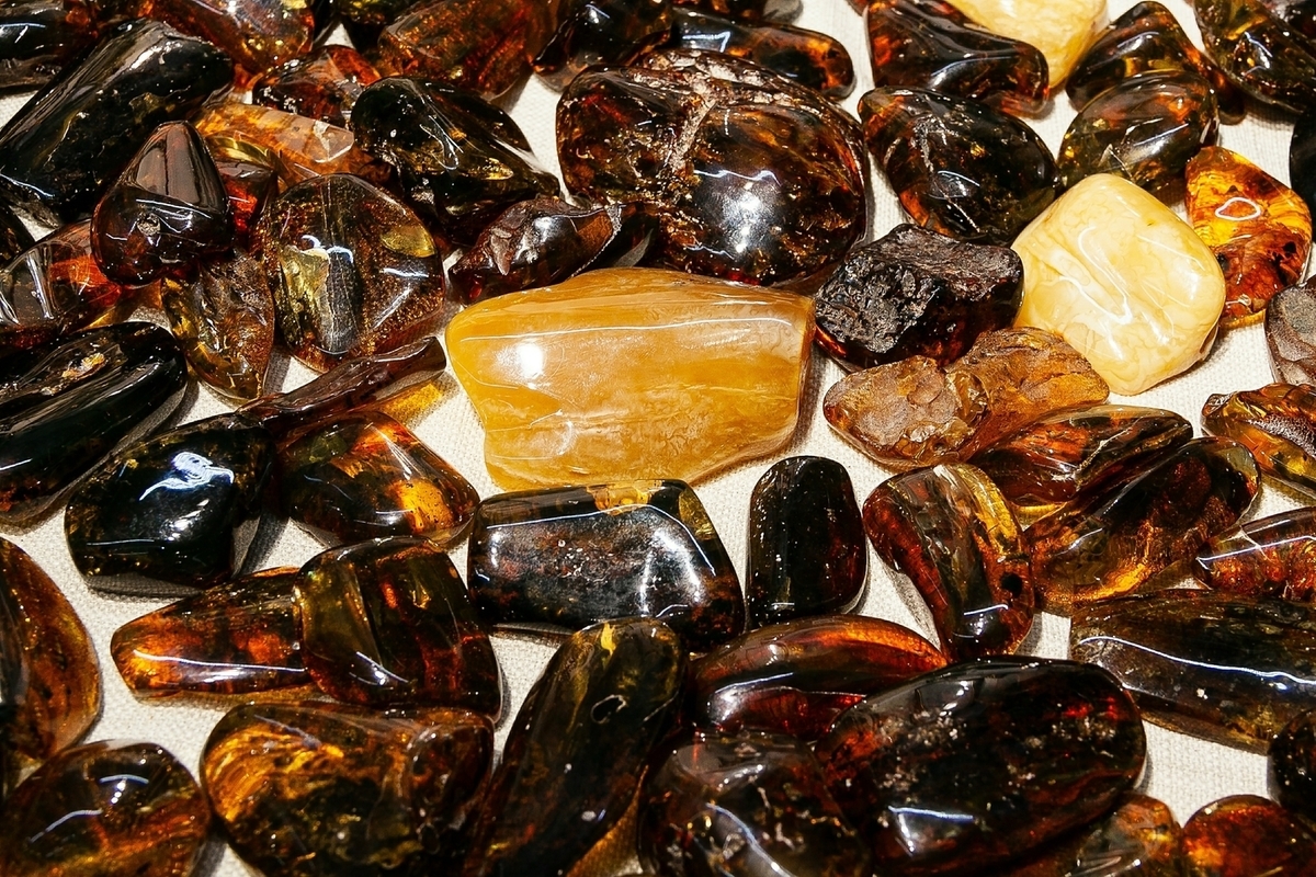 В куске янтаря нашли древнейшую личинку комара