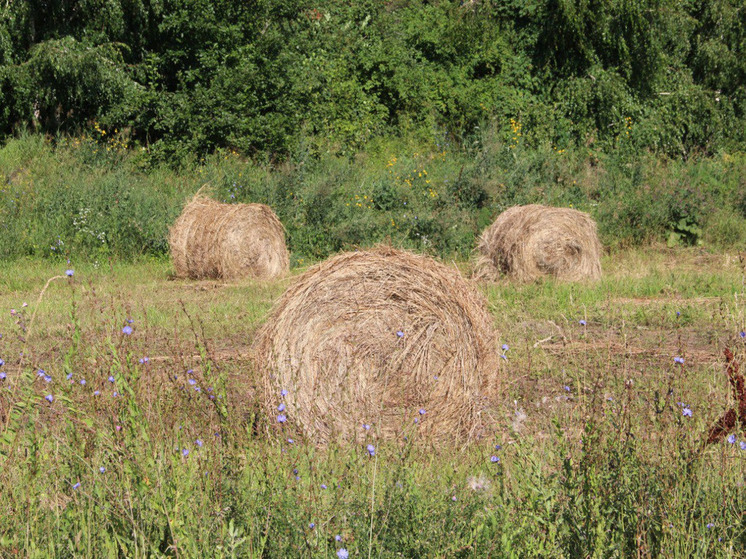 В Заринске загорелись тюки сена на телеге