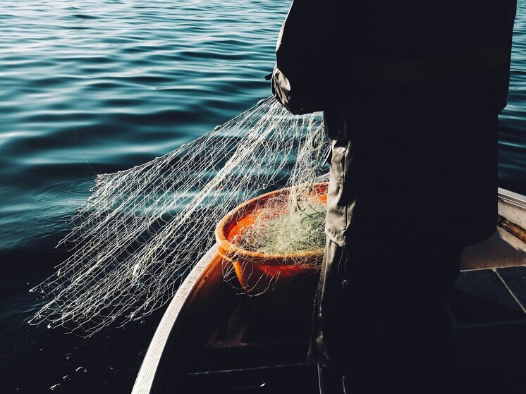 В Бурятии у жителя района изъяли более 230 особей омуля