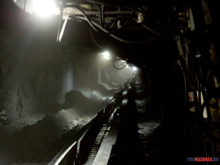 На Калтанском разрезе снова заметили дикую лису