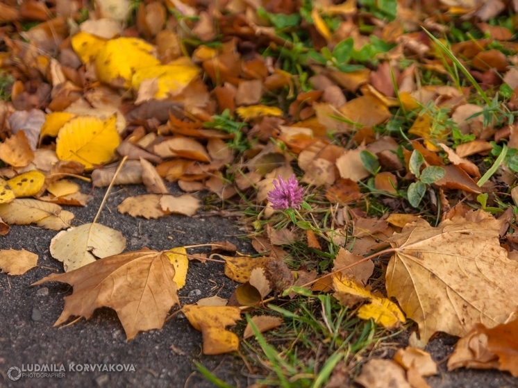 Облачно с прояснениями будет в Карелии 29 октября