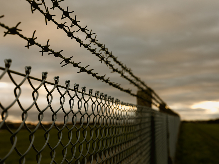 В Курской области мать-уклонистку отправили в колонию вместо исправительных работ