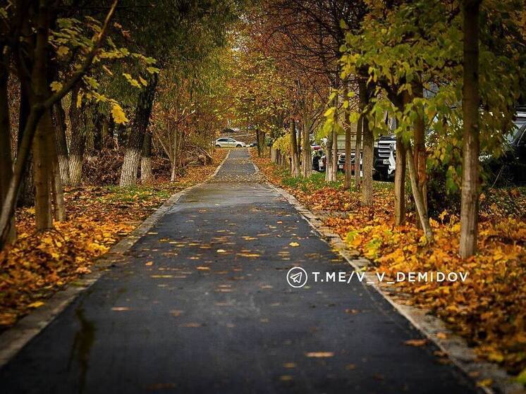 В Белгороде строители асфальтируют велодорожку от Мичурина до Студенческой