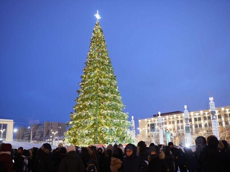 Главную ёлку Якутии начнут устанавливать с 5 ноября