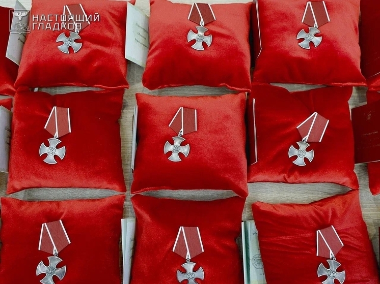 Губернатор Гладков вручил госнаграды семьям погибших военнослужащих