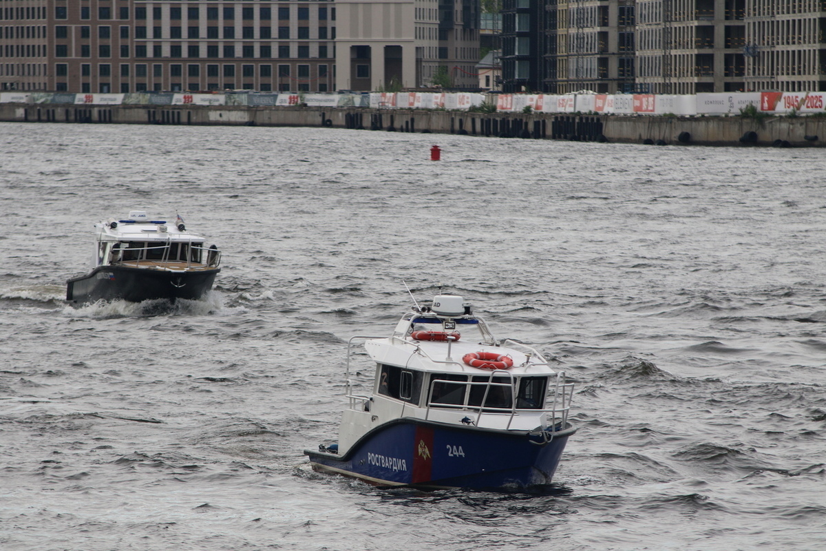 В Санкт-Петербурге мужчина скончался после падения в реку с моста