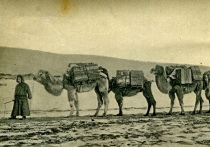 Фердинанд фон Рихтгофен: создатель «Великого шелкового пути»