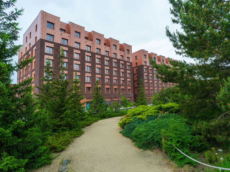 Челябинская область активно совершенствует образовательную политику